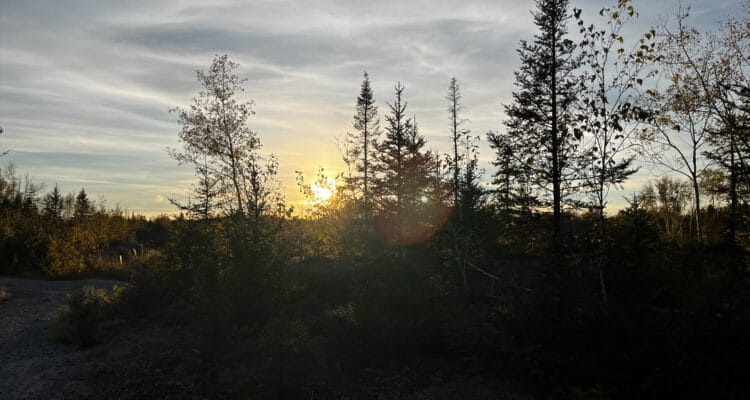 Sentiers du Lac Rouyn. Photo: Émilie Laperrière