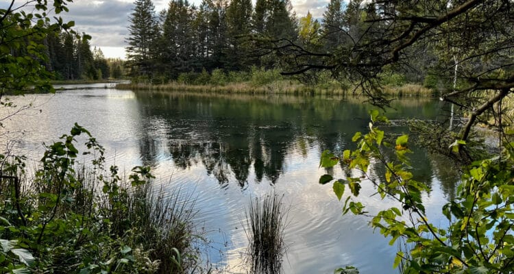 Sentiers du Lac Rouyn. Photo: Émilie Laperrière