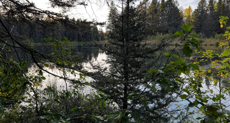 Sentiers du Lac Rouyn. Photo: Émilie Laperrière