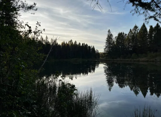 Sentiers du Lac Rouyn. Photo: Émilie Laperrière