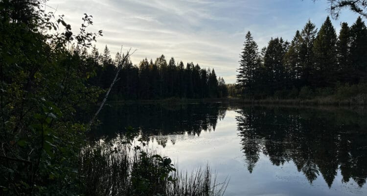 Sentiers du Lac Rouyn. Photo: Émilie Laperrière